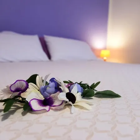 Elvezia Hotel 2*
